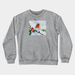 European Robin Digital Oil Painting Crewneck Sweatshirt